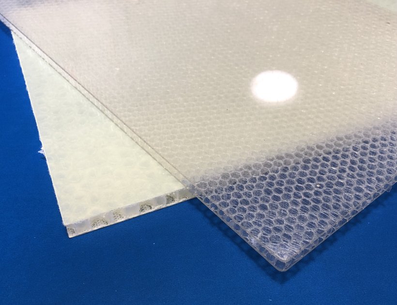 Plastic honeycomb laminated wall partitions for cleanspace cleanrooms-852