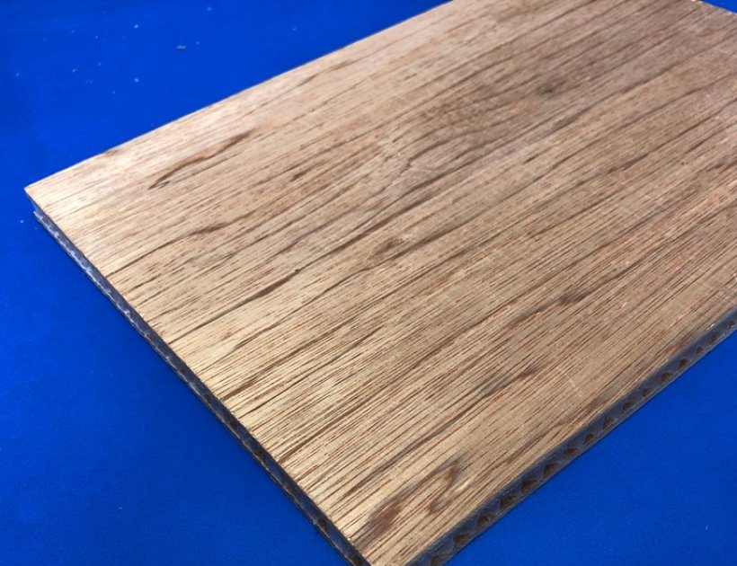 PP Honeycomb sandwich panel for Furniture-881