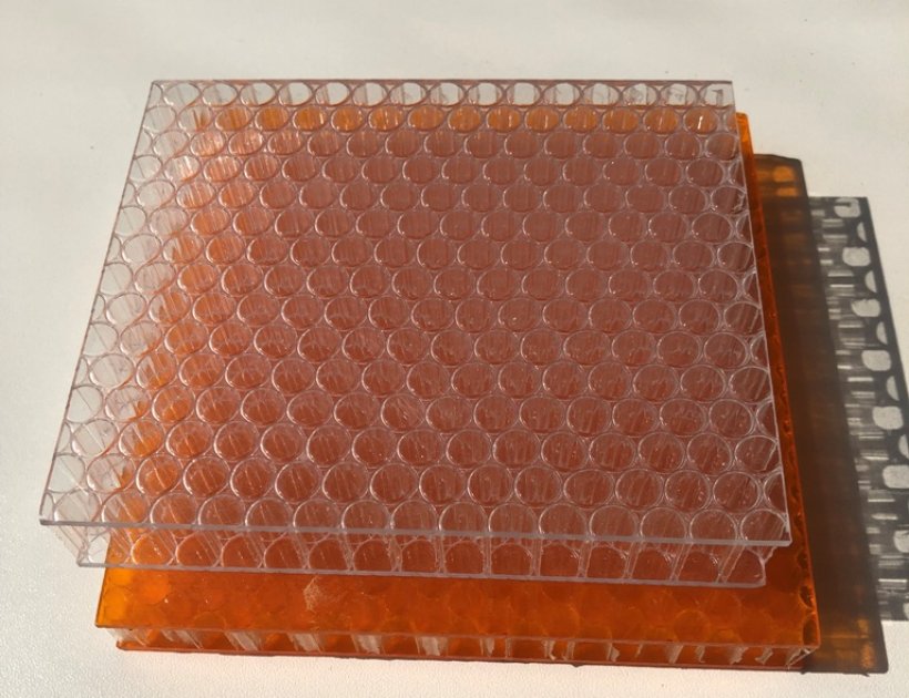 Composite honeycomb board with various surface sheet-785